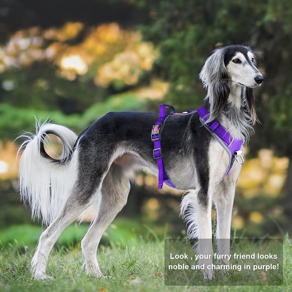 No Pull Dog Harness Breathable Harness with Handle - Reflective Padded Dog Vest Adjustable Harness for Medium Dogs No Pull, Back/Front Clip for Control, New Version Harness Purple M