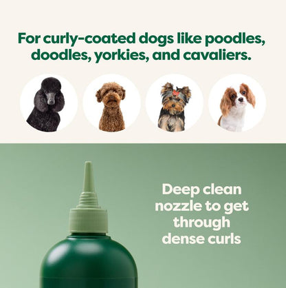 Earth Rated Coat-Specific 3-In-1 Curly & Wavy Coated Dog & Puppy Shampoo, Conditioner and Deodorizer, Formulated to Tackle Tangles and Restore Curls, Refreshing White Tea & Basil Scent, 16 Oz.