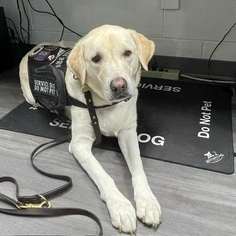 Wagaround Service Dog Travel Mat - "DO NOT INTERACT" Design for Safe and Comfortable Travels