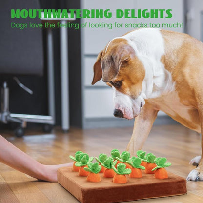 Nocciola 12 PCS Carrot Squeaky Dog Toys with Puzzle Feeding Carrot Patch,Dog Enrichment Toys for Hide and Seek, Puzzle Toys for Small and Medium Dogs