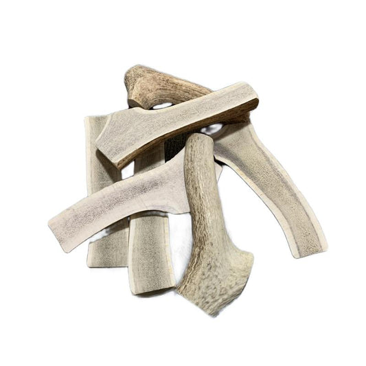 One Pound Split Elk Antlers, All Natural Elk Antler Sheds from Montana!