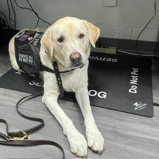 Wagaround Service Dog Travel Mat - "DO NOT INTERACT" Design for Safe and Comfortable Travels