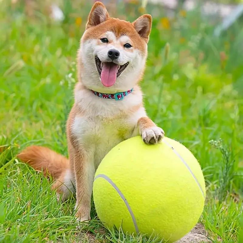 Tennis Ball Design Dog Toy, Pet Interactive Tennis Ball Toy, Pet Training Ball Toy, outside Pet Interactive Ball Toy for Dogs & Cats