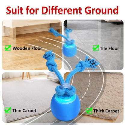 【Shipped from Usa】Outdoorfun Interactive Dog Toys Ball,Dog Enrichment Toy,Motion Activated Rolling Squeaky Ball for Small/Medium Dogs, Automatic Moving Dog Toy Wicked Ball for Boredom & Daily Training, USB Rechargeable Outdoor Fun Toy Puppy Dog Toys