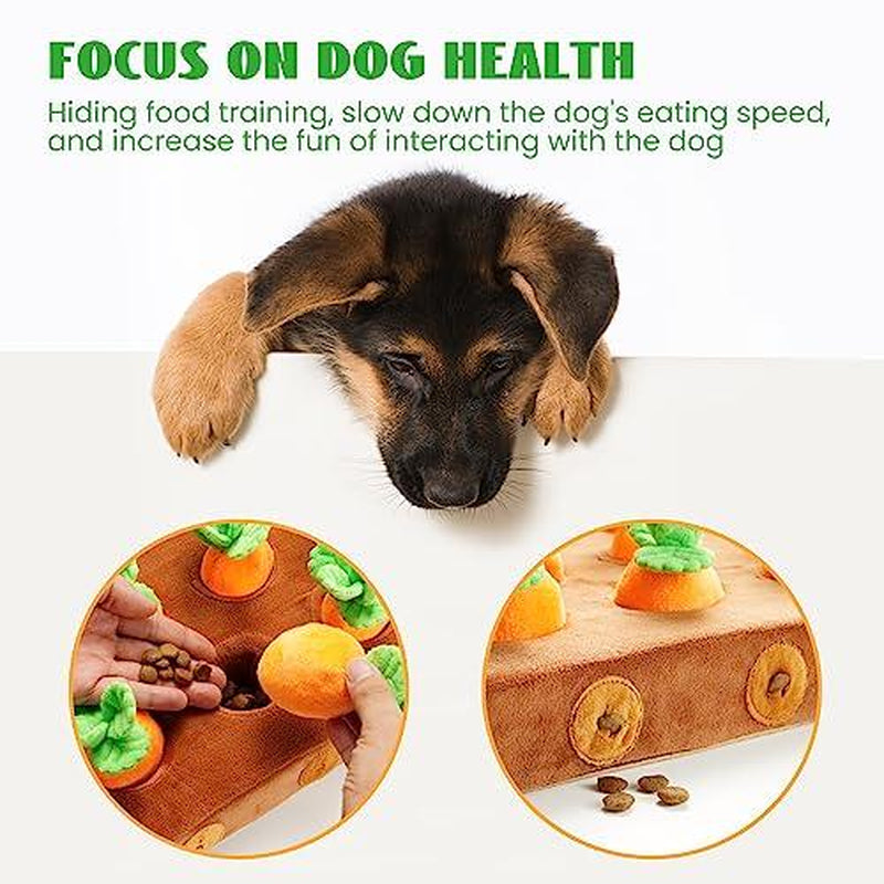 Nocciola 12 PCS Carrot Squeaky Dog Toys with Puzzle Feeding Carrot Patch,Dog Enrichment Toys for Hide and Seek, Puzzle Toys for Small and Medium Dogs
