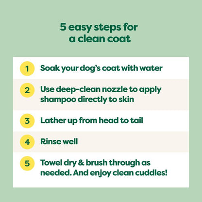 Earth Rated Coat-Specific 3-In-1 Curly & Wavy Coated Dog & Puppy Shampoo, Conditioner and Deodorizer, Formulated to Tackle Tangles and Restore Curls, Refreshing White Tea & Basil Scent, 16 Oz.