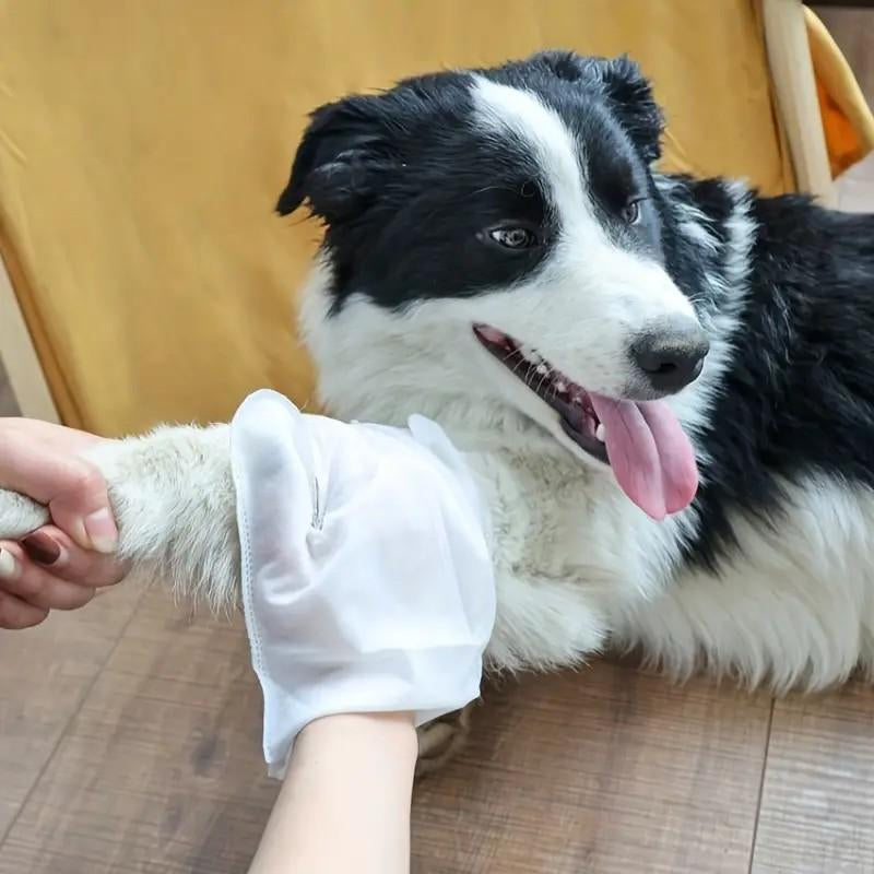 Pet Glove Wipes for Dogs & Cats,Hypoallergenic Pet Wipes Disposable No-Rinse Grooming Cleaning Paw