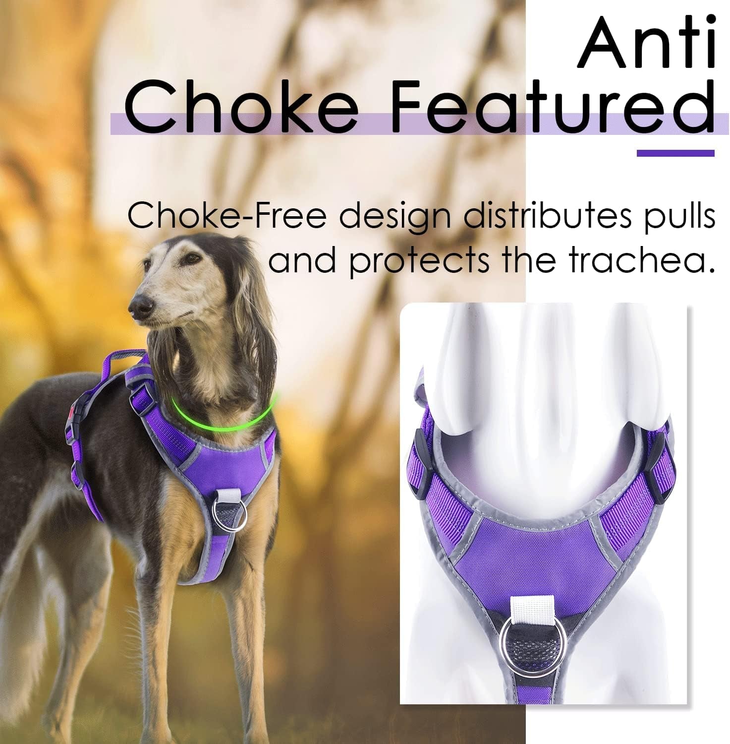 No Pull Dog Harness Breathable Harness with Handle - Reflective Padded Dog Vest Adjustable Harness for Medium Dogs No Pull, Back/Front Clip for Control, New Version Harness Purple M