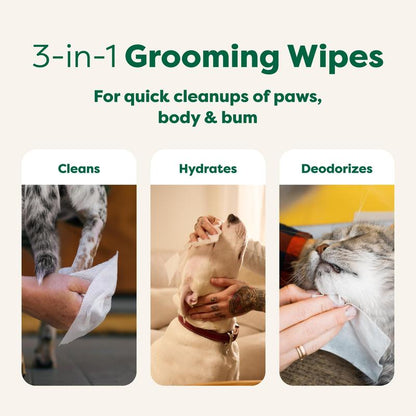 Earth Rated 3-In-1 Pet Grooming Wipes, Cleaning, Deodorizing & Hydrating for Paws, Body, and Butt, Perfect for Dogs & Cats, White Tea and Basil Scent, 100 Count