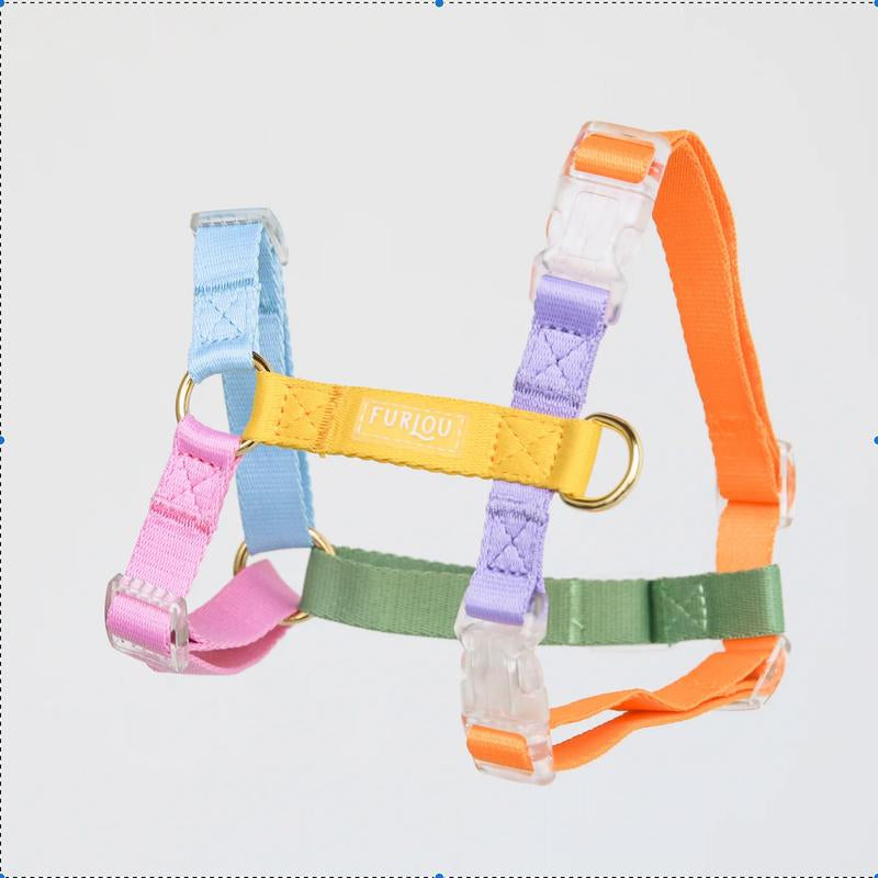 Dog Harness