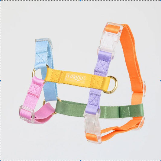 Dog Harness