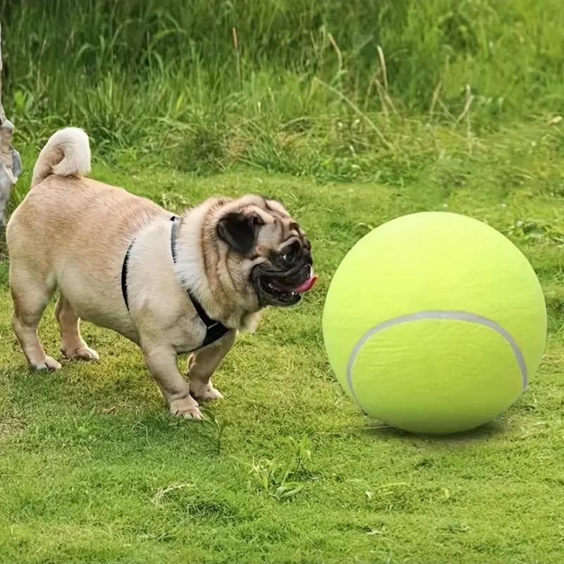 Tennis Ball Design Dog Toy, Pet Interactive Tennis Ball Toy, Pet Training Ball Toy, outside Pet Interactive Ball Toy for Dogs & Cats