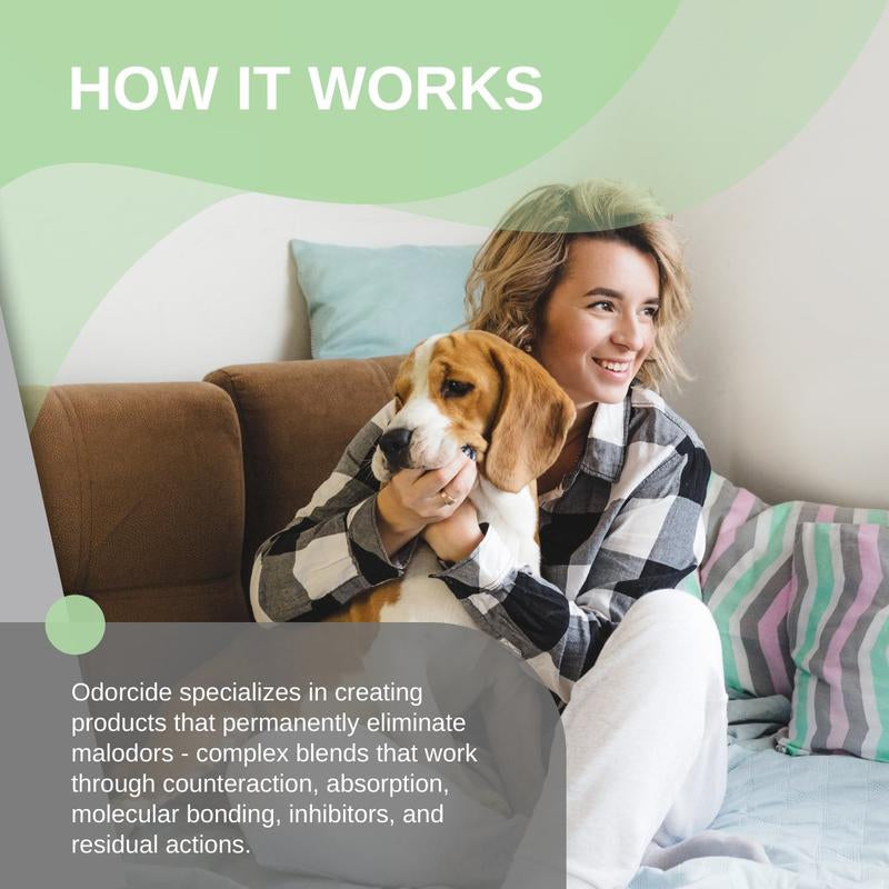 Odorcide Odor Eliminator Concentrate: Remove Strong Odor on Carpets, Hardwood & More - Smoke, Sweat & Pet Odor Eliminator 64 Oz and Gallon