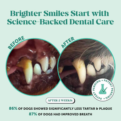 Pet Honesty Dental Powder, Breath Freshener and Teeth Cleaning Dental Care for Dogs, Plaque Tartar Remover with Postbiotic - 30 Scoops