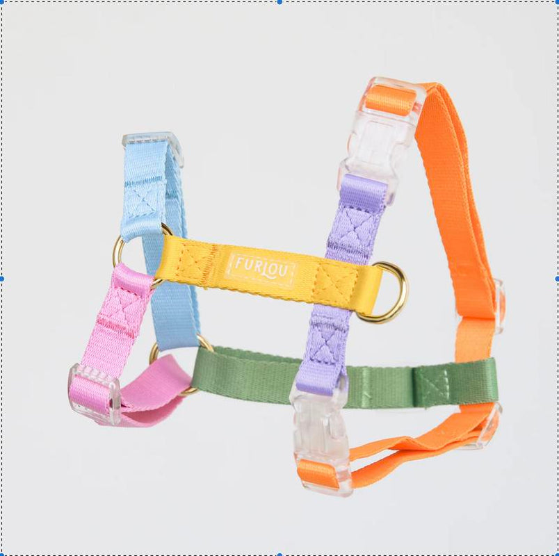 Dog Harness