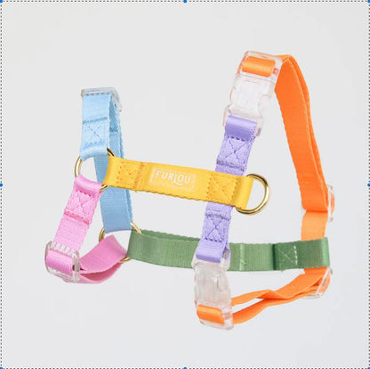 Dog Harness