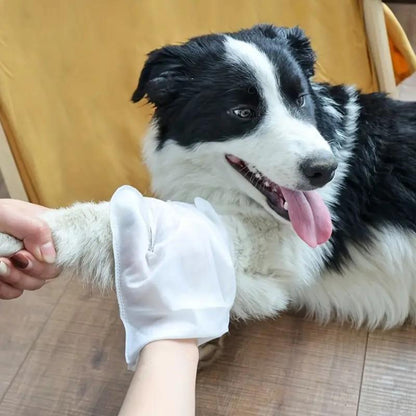 Pet Glove Wipes for Dogs & Cats,Hypoallergenic Pet Wipes Disposable No-Rinse Grooming Cleaning Paw