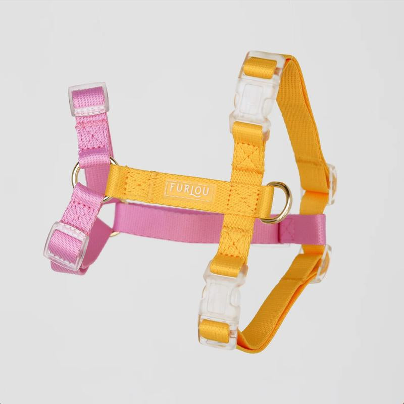 Dog Harness