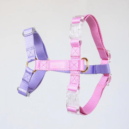 Dog Harness