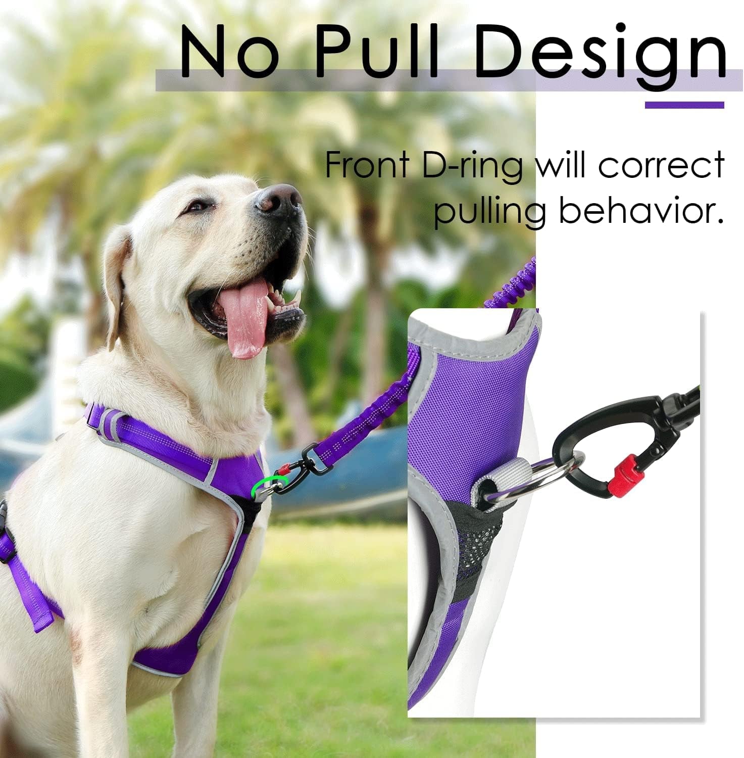 No Pull Dog Harness Breathable Harness with Handle - Reflective Padded Dog Vest Adjustable Harness for Medium Dogs No Pull, Back/Front Clip for Control, New Version Harness Purple M