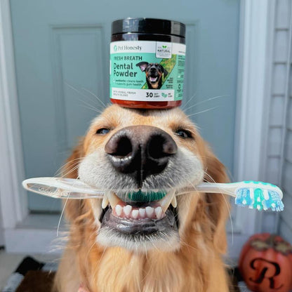 Pet Honesty Dental Powder, Breath Freshener and Teeth Cleaning Dental Care for Dogs, Plaque Tartar Remover with Postbiotic - 30 Scoops