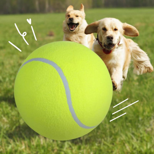 Tennis Ball Design Dog Toy, Pet Interactive Tennis Ball Toy, Pet Training Ball Toy, outside Pet Interactive Ball Toy for Dogs & Cats
